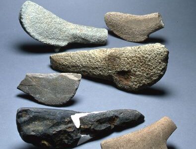 函館発のトレンド物語